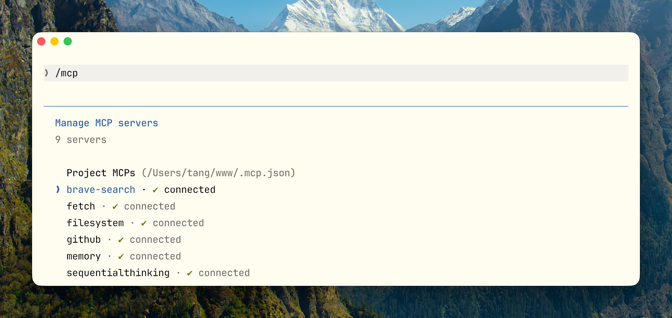 /mcp 连接状态，可以看到各 server 的工具数量和 token 消耗