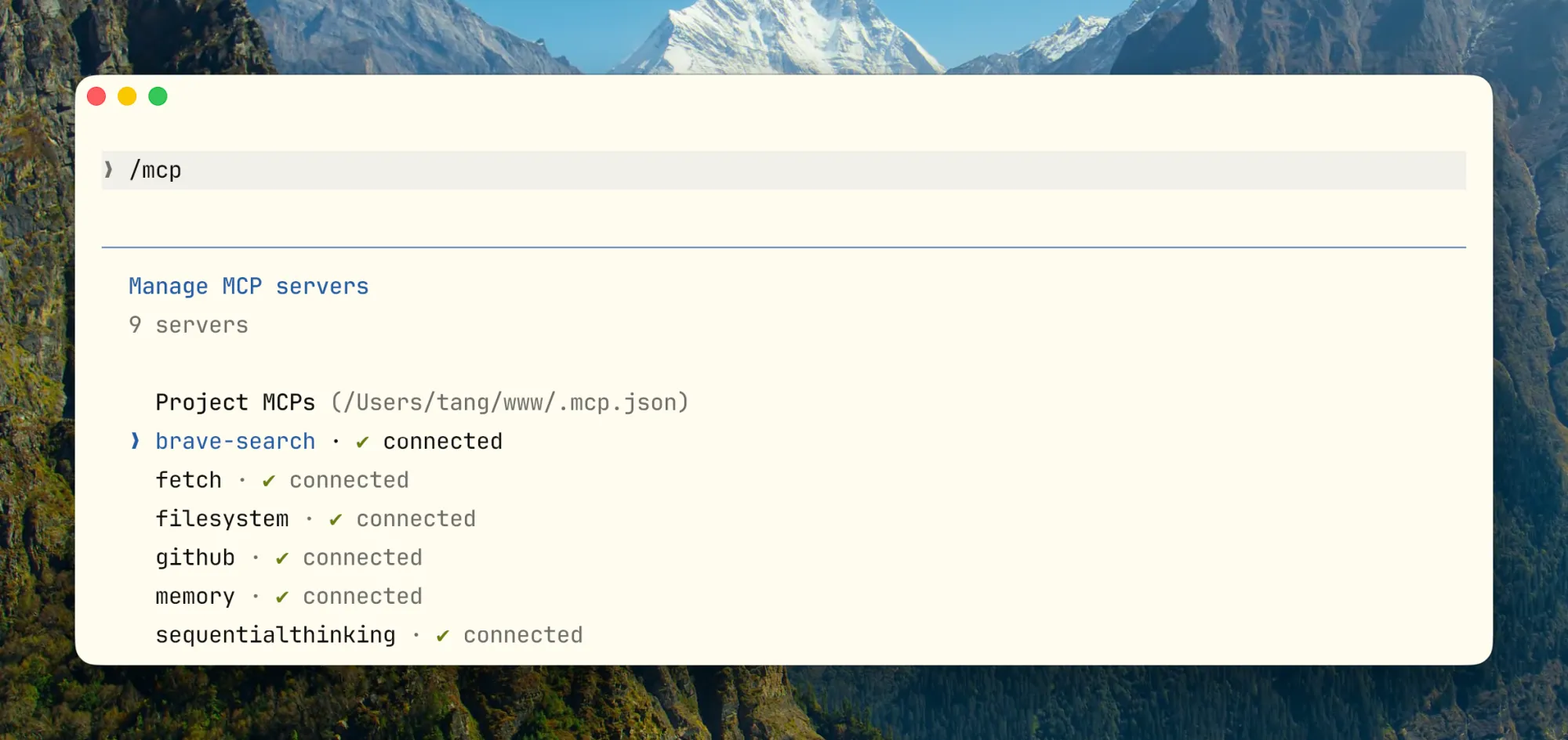 /mcp 连接状态，可以看到各 server 的工具数量和 token 消耗